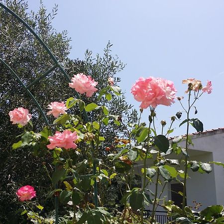 Villa Helena 卡沃斯 外观 照片