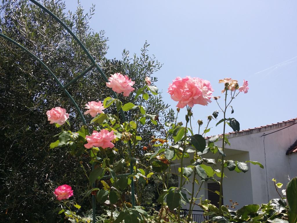 Villa Helena 卡沃斯 外观 照片